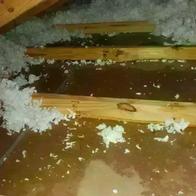 Attic Water Damage in Knox County, ME